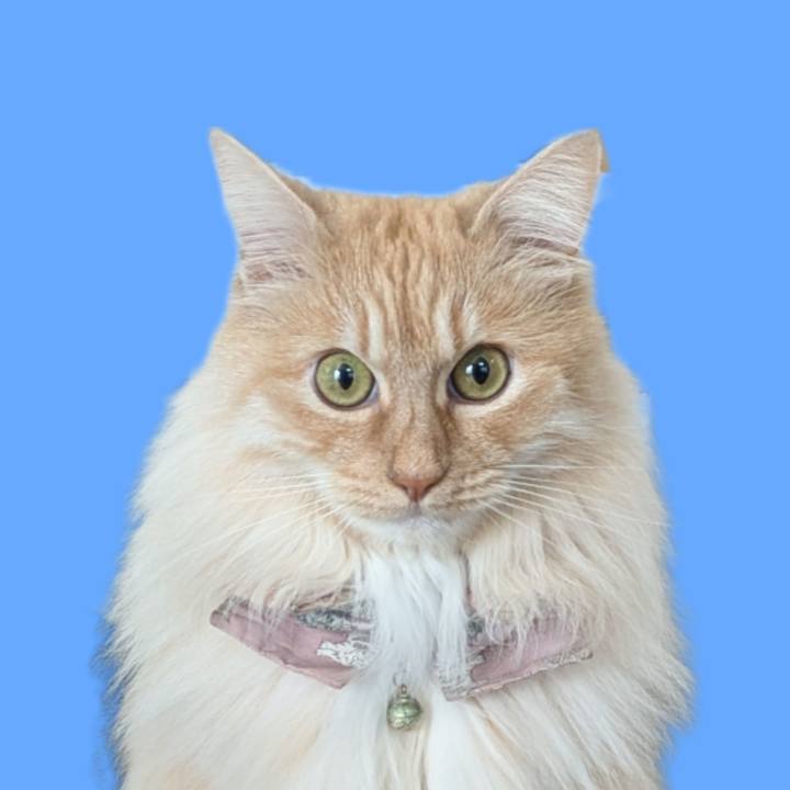 3574812c fee3 4939 8db2 1c8c4cd93ff9 1744695083519