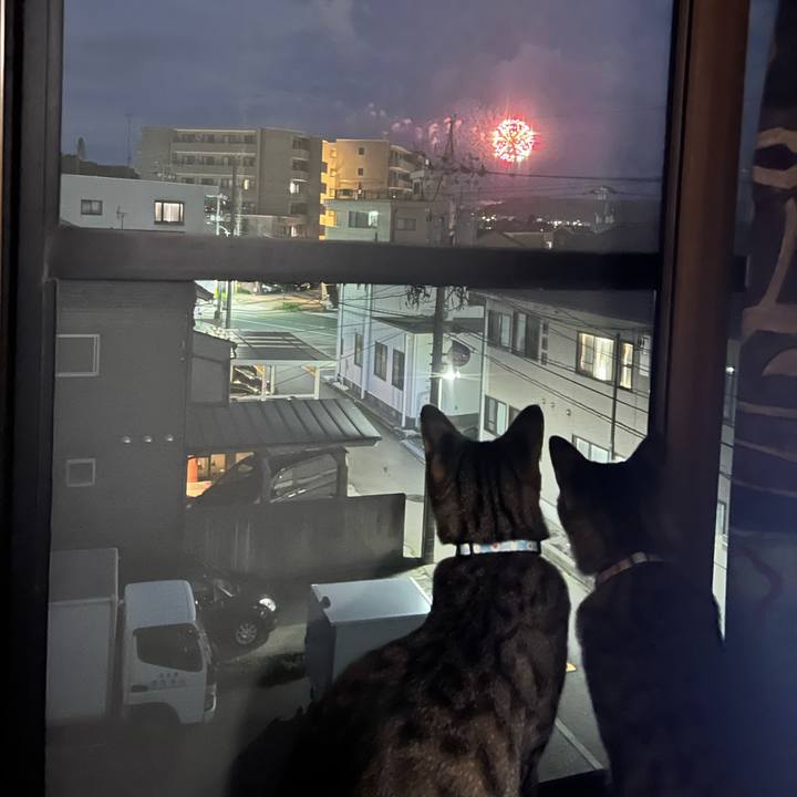 35748fa4 9c52 49ab a8f4 d0c5e929f733 1721577793192