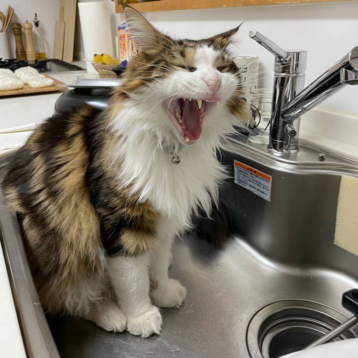 3574b1a5 04c3 4d73 b06f f74bda4548bb 1655063604368