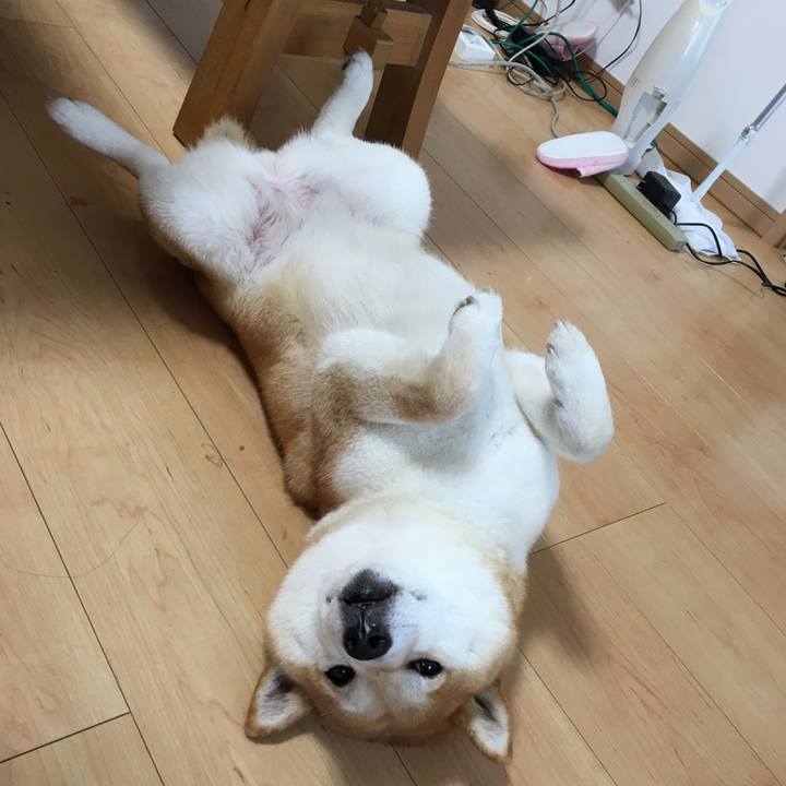 3574c075 eda6 48c7 bce2 8db319f5644c 1540171163150