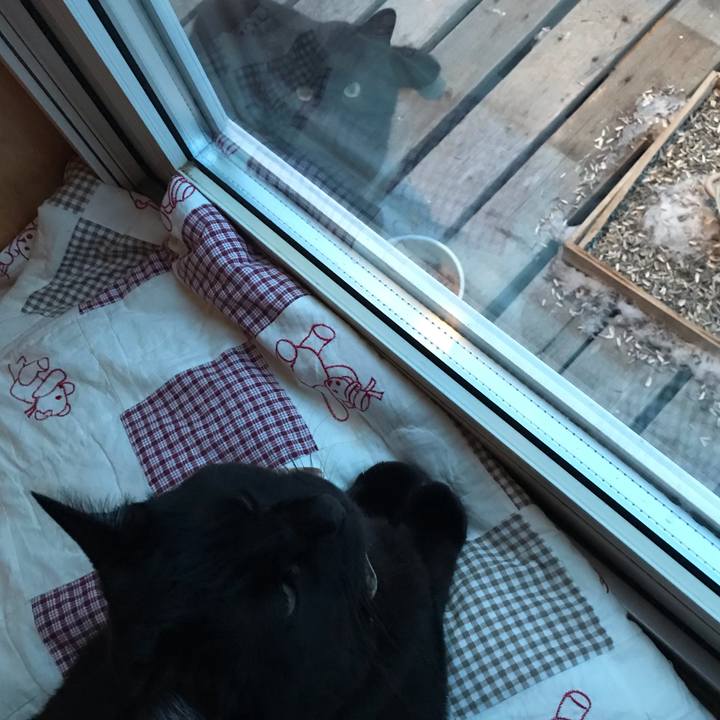 3574d47b 8bba 459a af65 030302ff9bd8 1612906107519