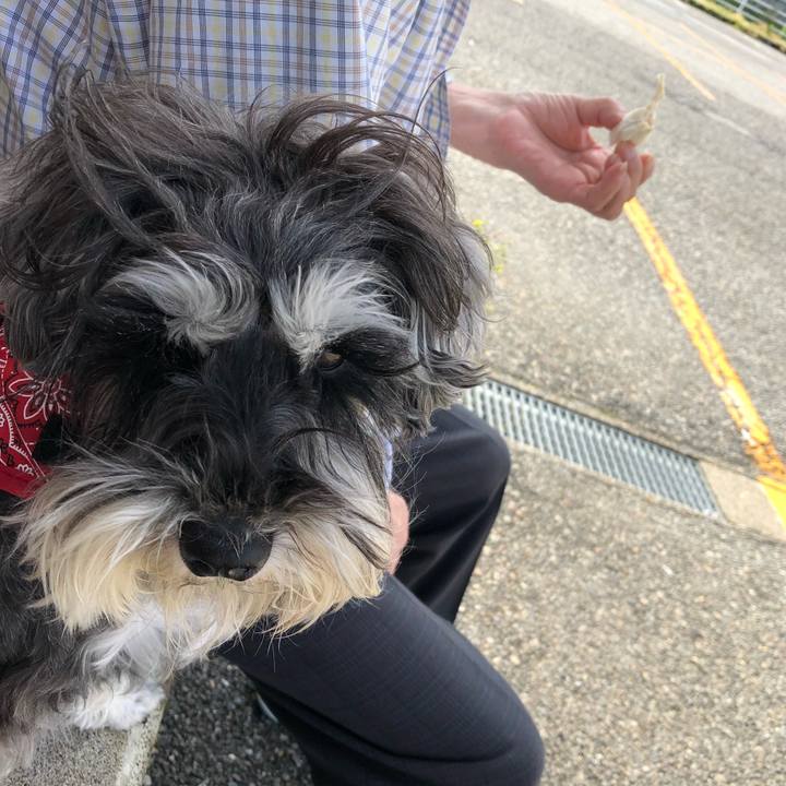 3574f304 fdee 4cf3 8e04 6efab207bd8a 1526785301921