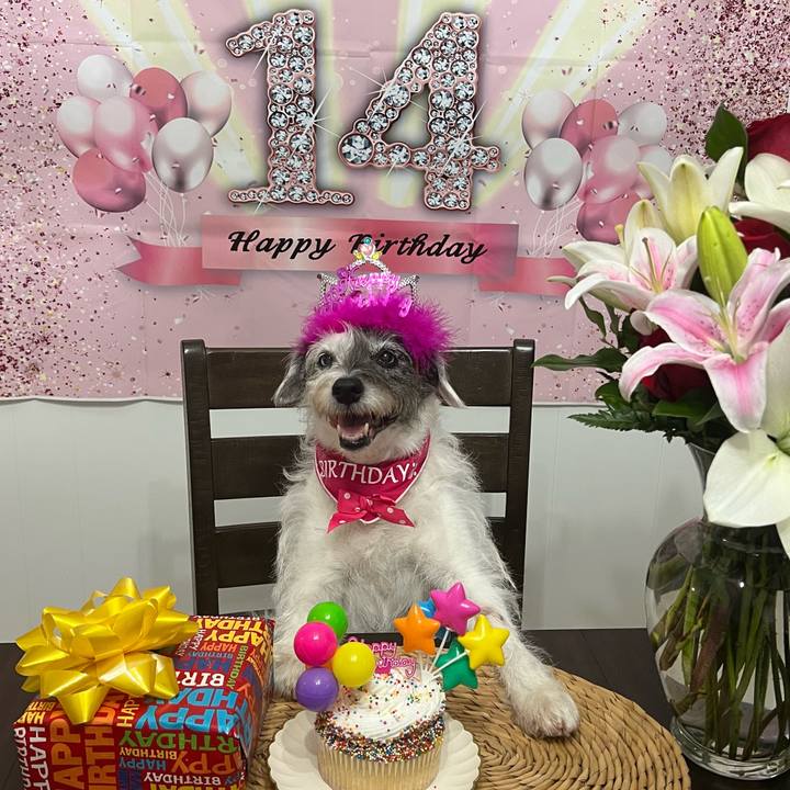 35753c20 d1a3 4864 8c4e 791afefa8793 1739311787452