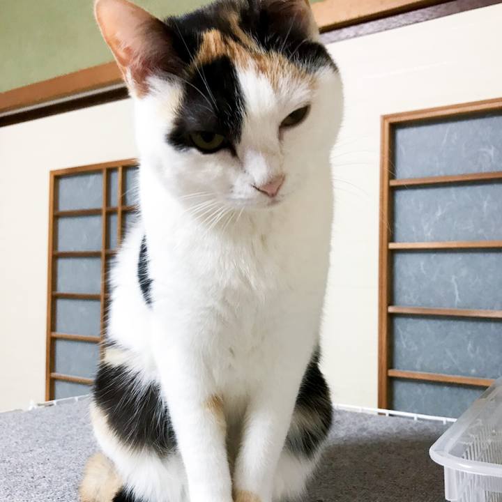 3575818c 58b0 4642 8c58 34ea485973ef 1519309802619