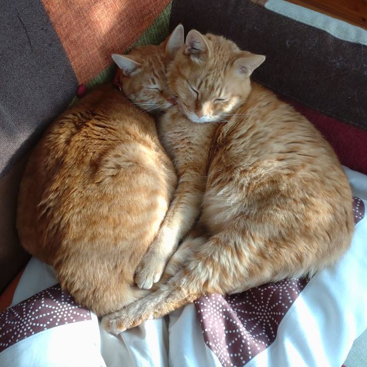 3575c394 3218 4fed 93b1 5e335b659120 1639810100995