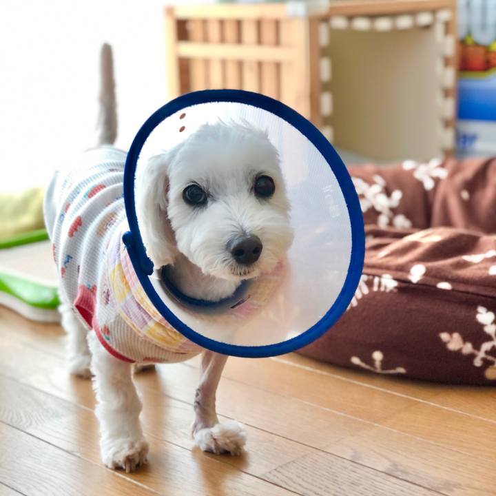 3575d2f8 9163 4fe9 9de9 67b14ea8ce2e 1619071021125