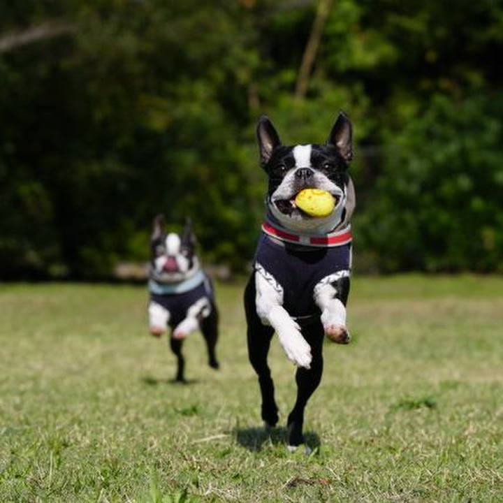 3575d61d 21d7 40ee 9bc4 663537951b21 1541926501522