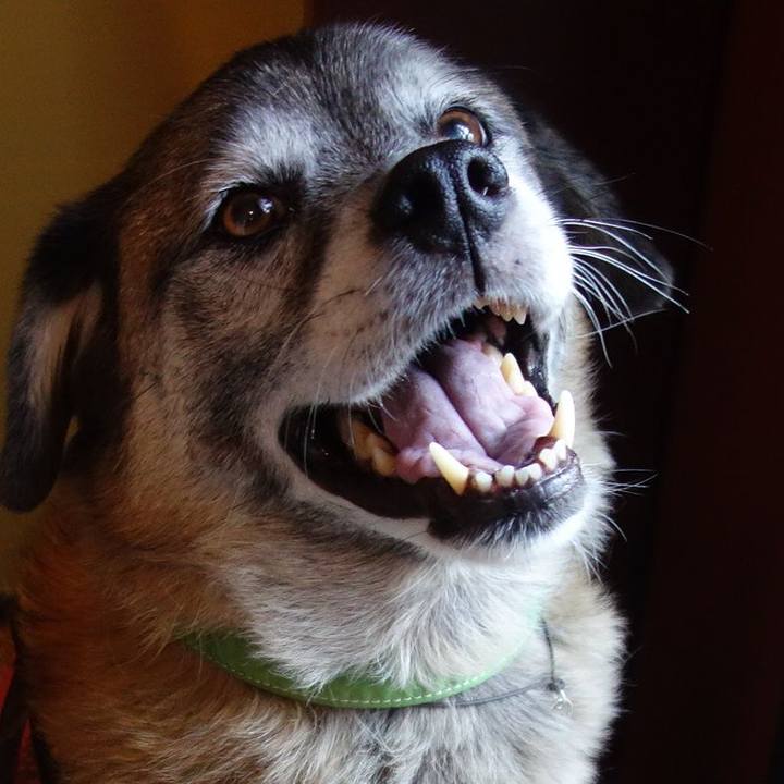 3575f28d a69f 4712 a30e 5f6b1eb8ce0e 1569578570744