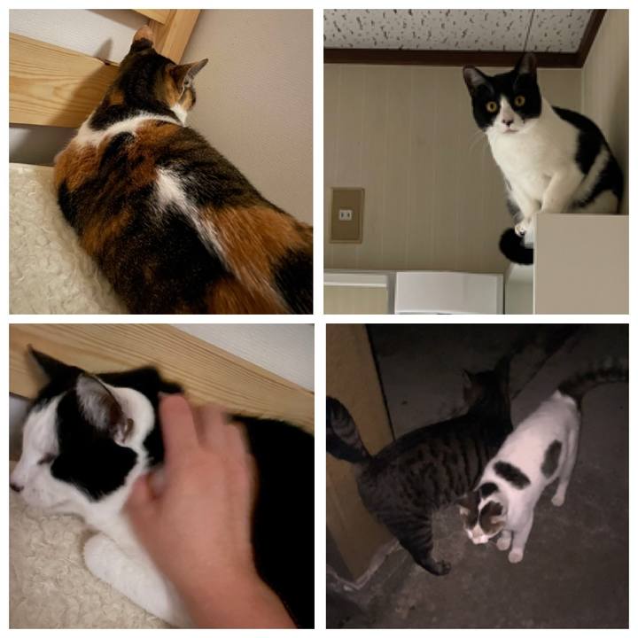 35760572 9395 41d0 a9fc 638b92d67937 1699295060524