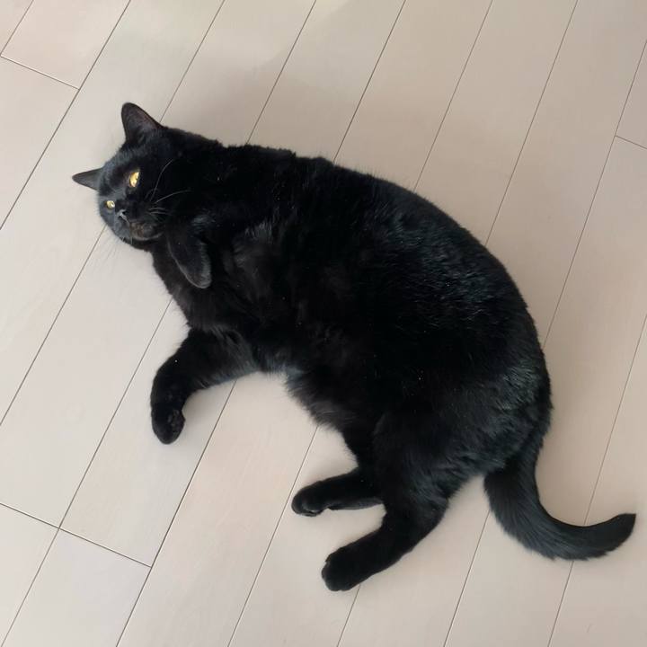 35765309 2083 405b 9fe4 14b057a6b303 1712218094471