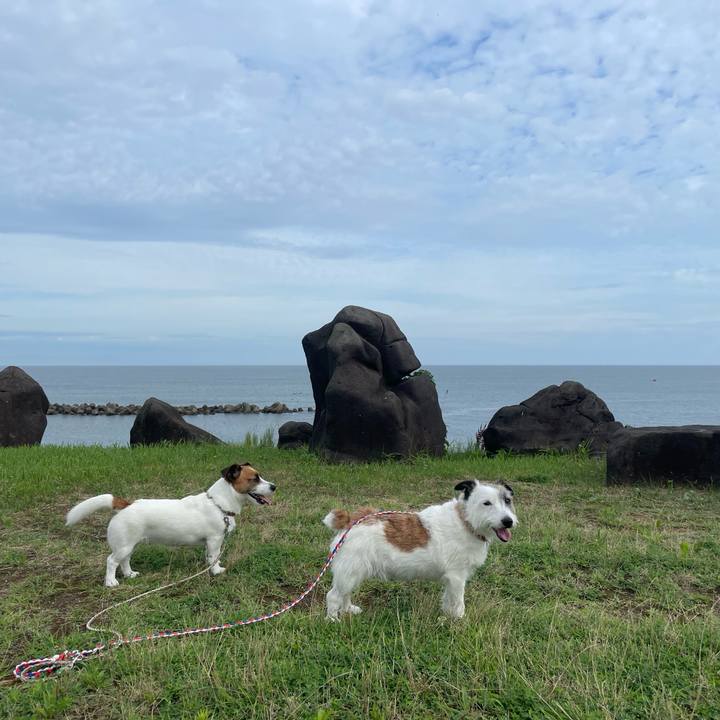 35769236 7279 4751 a25d 222e2f5c5cb0 1722037386571