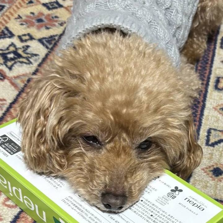 35769d08 f0c7 4709 b77b 8044a905343f 1766364946038