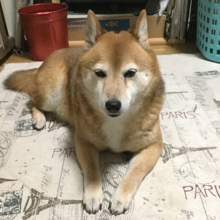 3576ab04 70f5 4084 9bed 6262c053b605 1622027483416