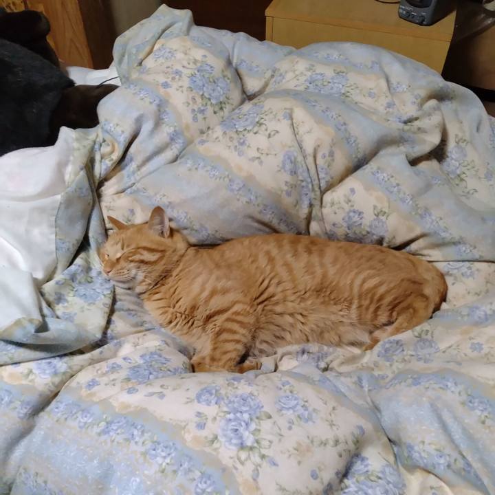 3576ee79 3743 4337 a68e 791bcf496dcf 1666959657261