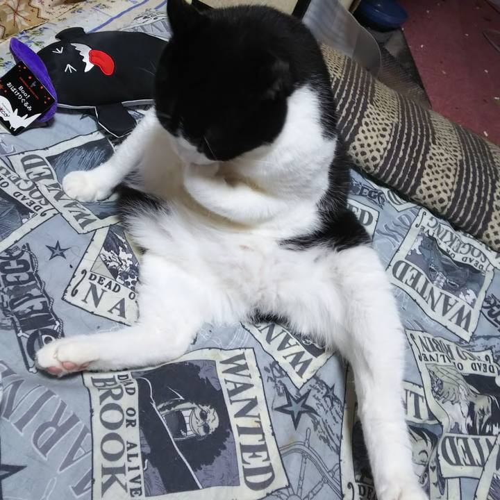 3576f958 623f 4749 a4b5 a1f426b45fed 1570015501899