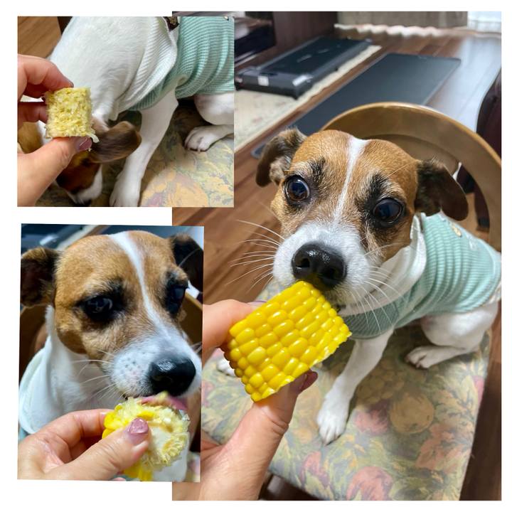 3577018d c3bd 4dcc b75f 5ec455e30092 1722292367862