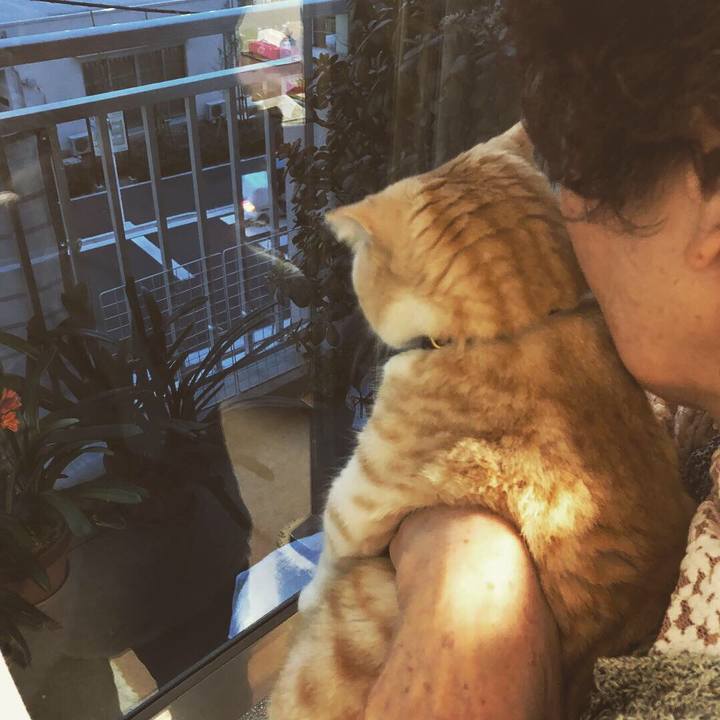 35771f38 db9d 46fc b6a9 c30d4a34fa56 1557331164448