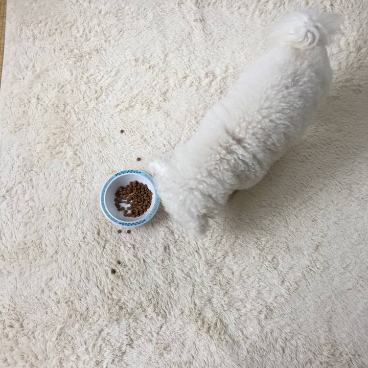 35773399 389a 424c 8fd4 ec3ecb823f52 1539988376579