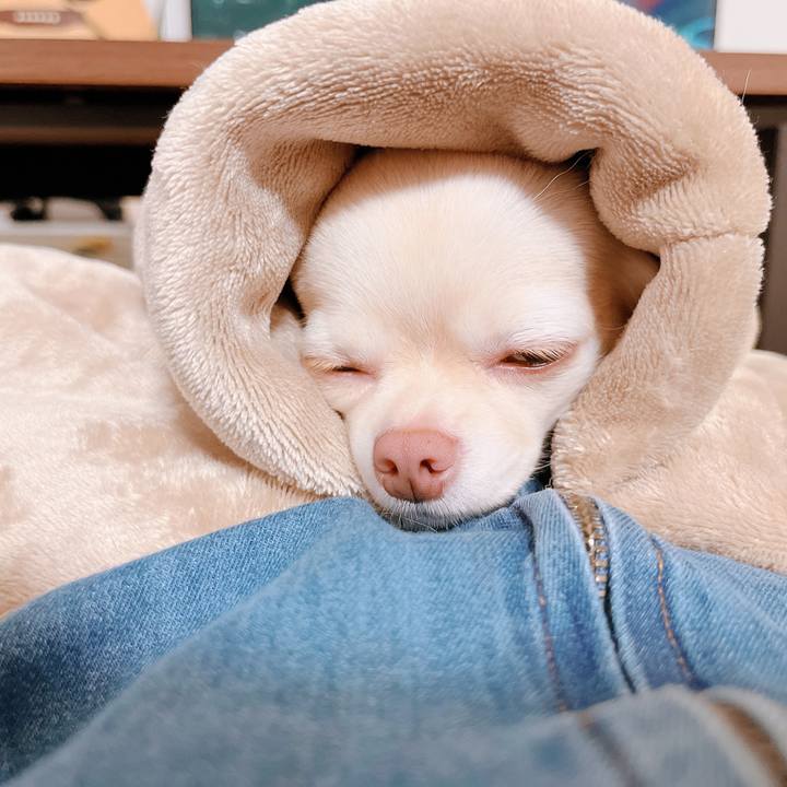 35773a02 5d7f 41eb a95f 05c0bffe20d1 1665918363689