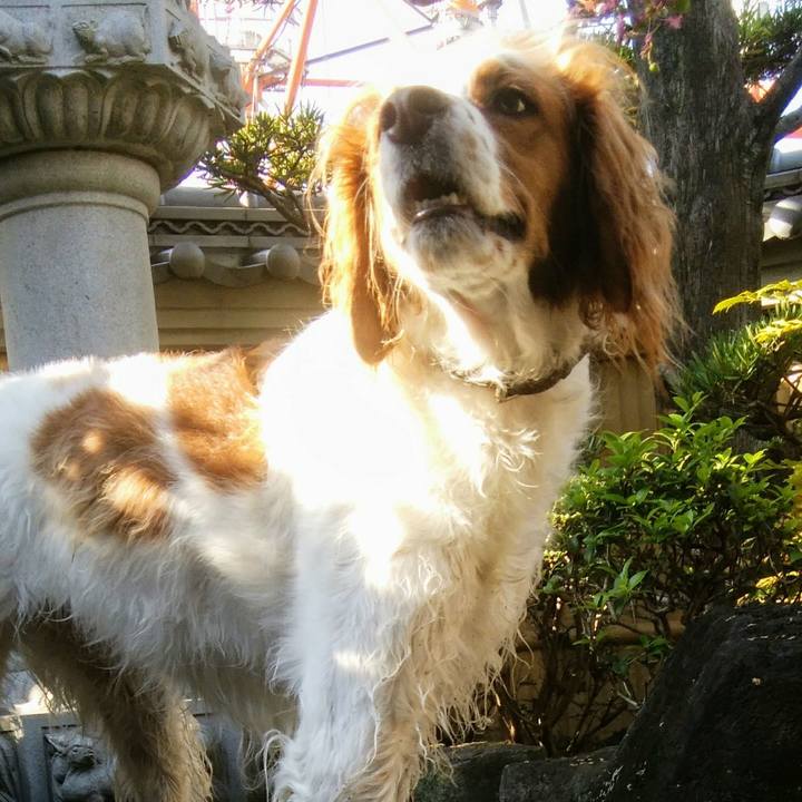 35774878 1401 4df6 9cac e3b32c9228eb 1537798125086