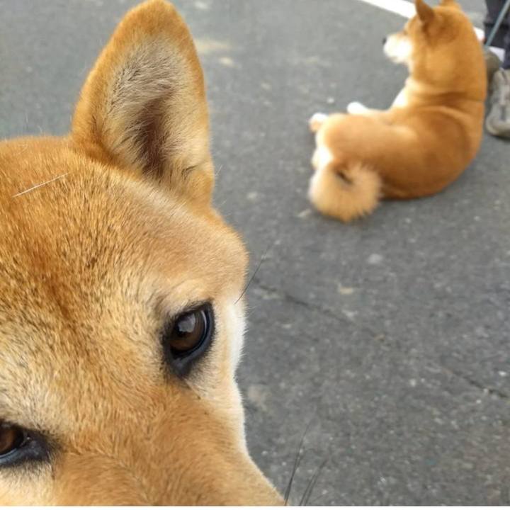 35776e64 bd21 4a30 9867 64b5adf11fd5 1752043106458