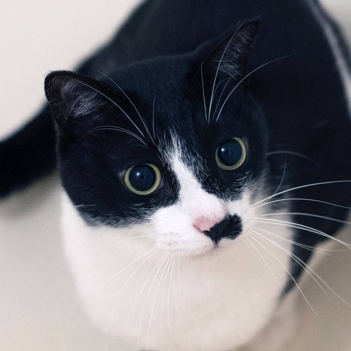 3577a301 e561 49ab a17c 678bf65061ba 1527590115616