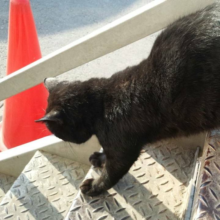 3577b059 bb59 4533 8091 4239ab3eddbb 1519205981768