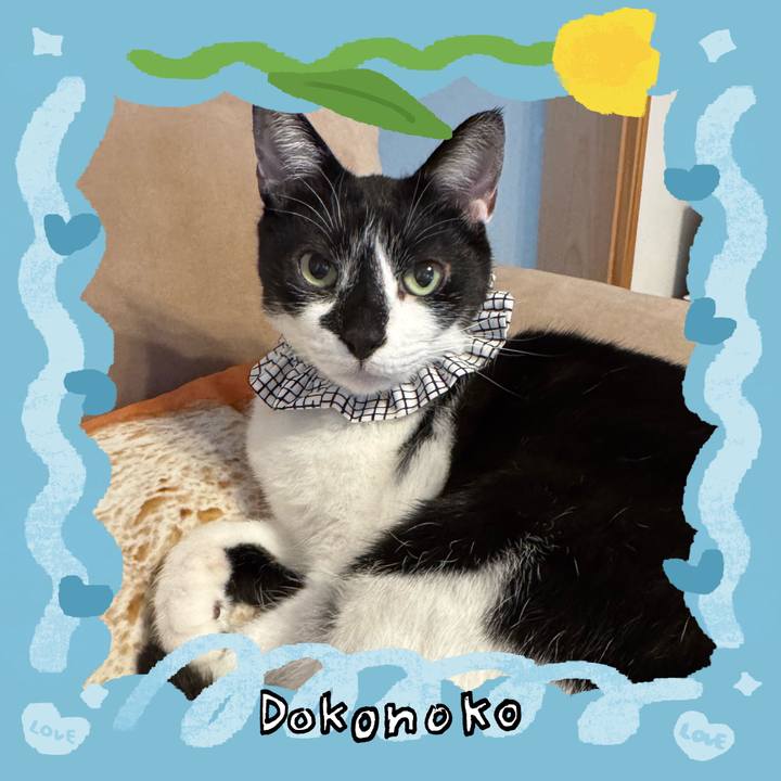 3577c6e9 2c26 424b a29e 6364b783c1f0 1771878608333