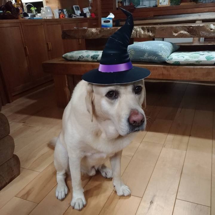 3578174a 41b4 4456 a8c8 a94a498c7aaf 1634464092040