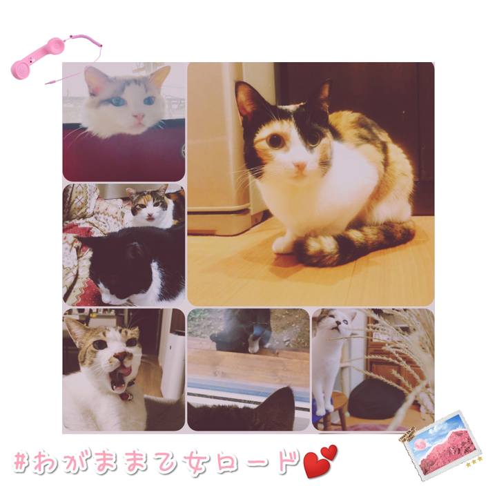 35785f3c 7291 4b81 9c28 29f0cb00ae90 1568458397047