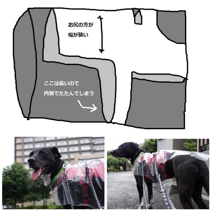 3578be50 e49d 476f b5ad d9c1b278f1d4 1625134633963