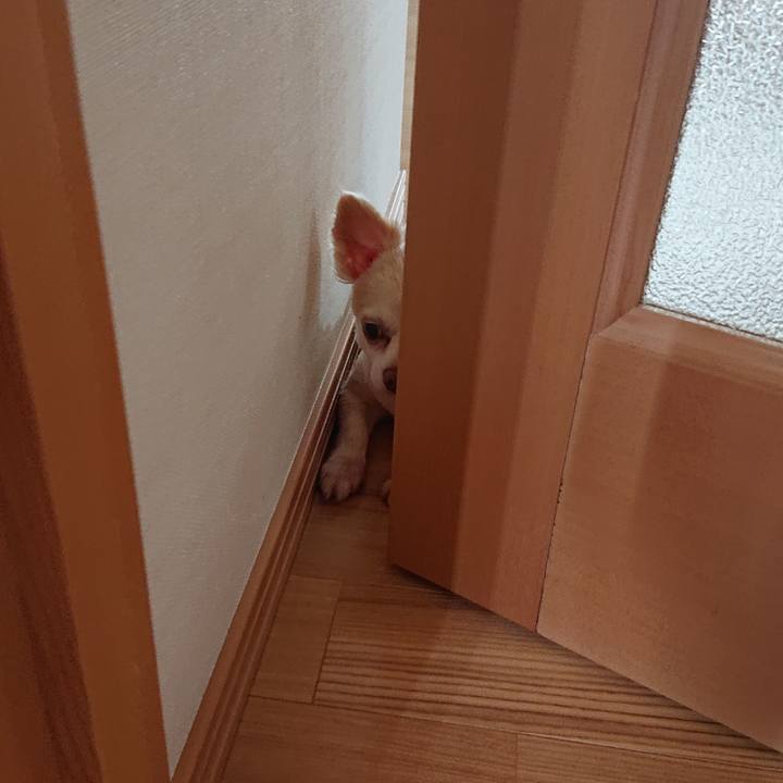 35791b1a b289 440a 958d b6eeeb822db1 1563600814892