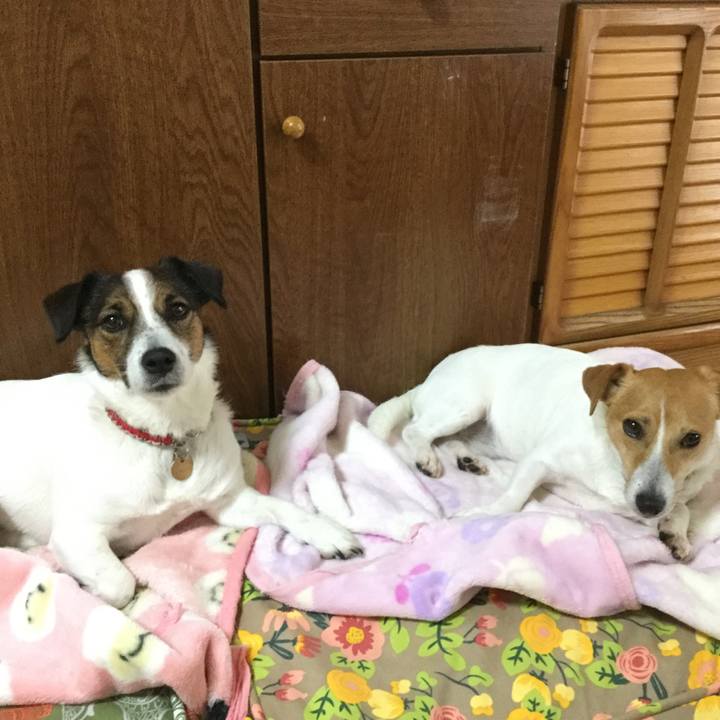 357944be 5b19 497c 8907 b1c3aa5ae6e0 1559516504791