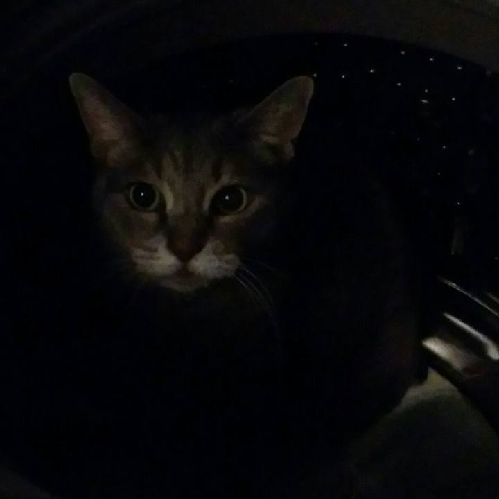 3579aa7f 0853 4309 bb56 97c42494b760 1566381431851