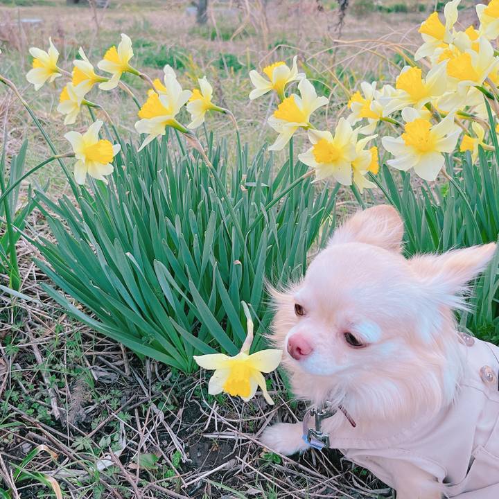 3579b851 1378 437a ab12 a26ed6ea2c70 1647766190275