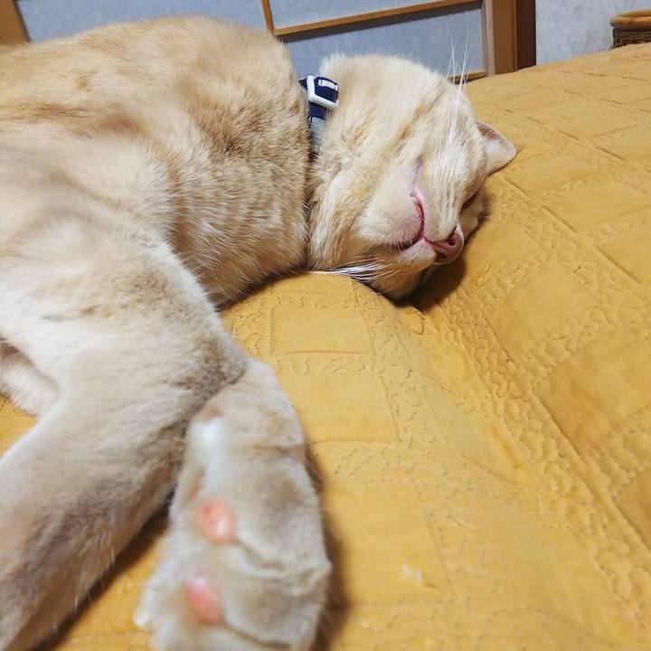 3579bfbc 0466 4b0c 8f94 be95599a3019 1600686650153