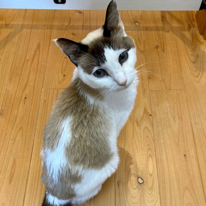 3579d749 cb96 4c0b 81c9 2b7344bd3c93 1678527750372