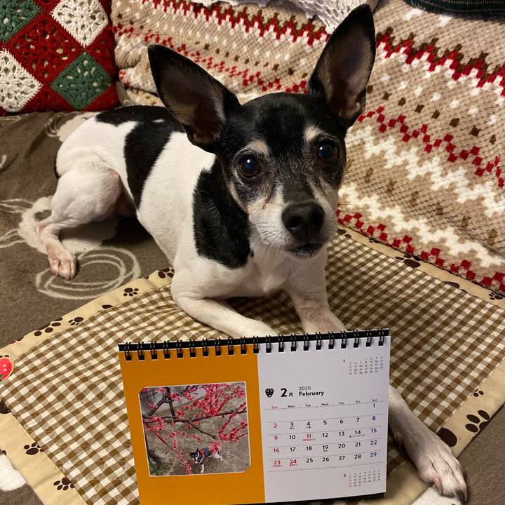 3579f47e b5b2 47a9 a293 5411999f7a99 1580568140878