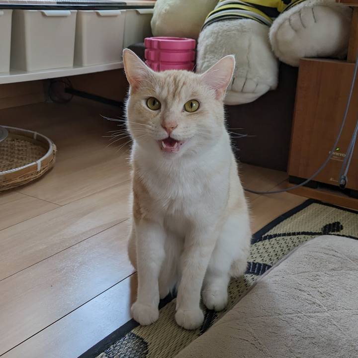 3579fd47 d485 4d3c 9364 7c432819f528 1689485471370