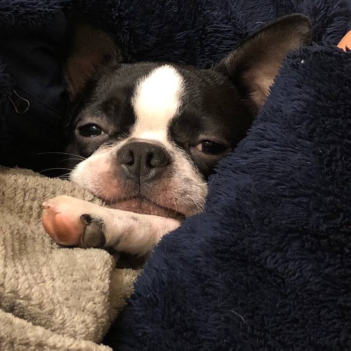 357a2813 99da 4d66 8527 967c2fa241fc 1512525307699