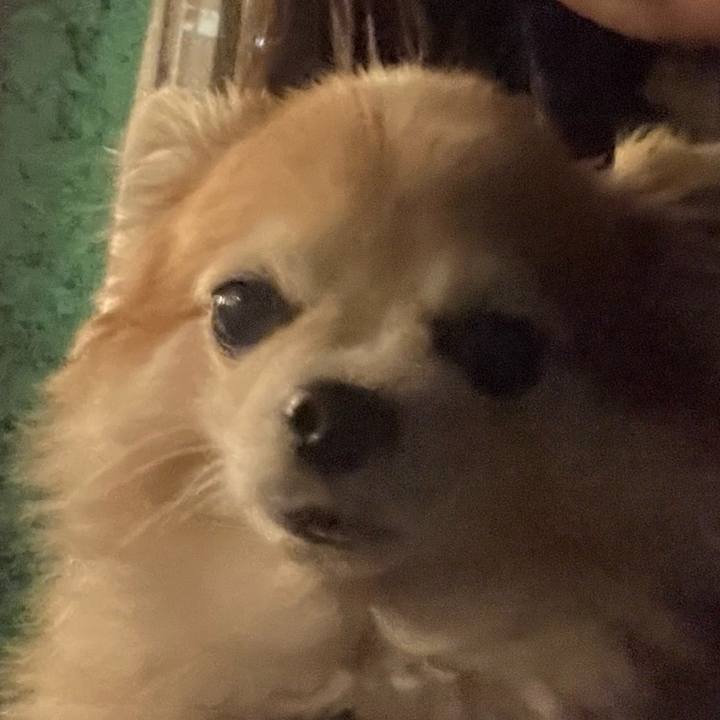 357a3c58 4aaf 4025 a47b bd85a26f603b 1763678064097