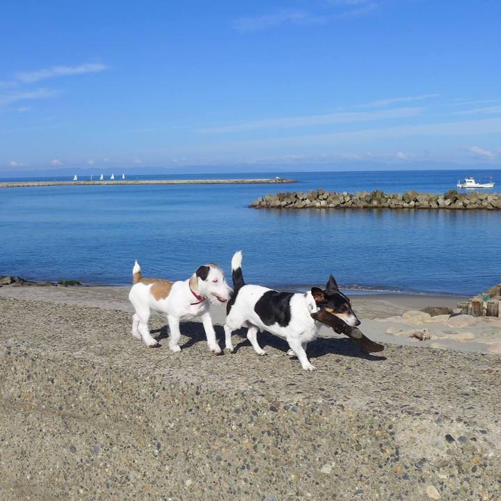 357a7ed2 a87b 4117 8643 a5eb237089d8 1633073642275