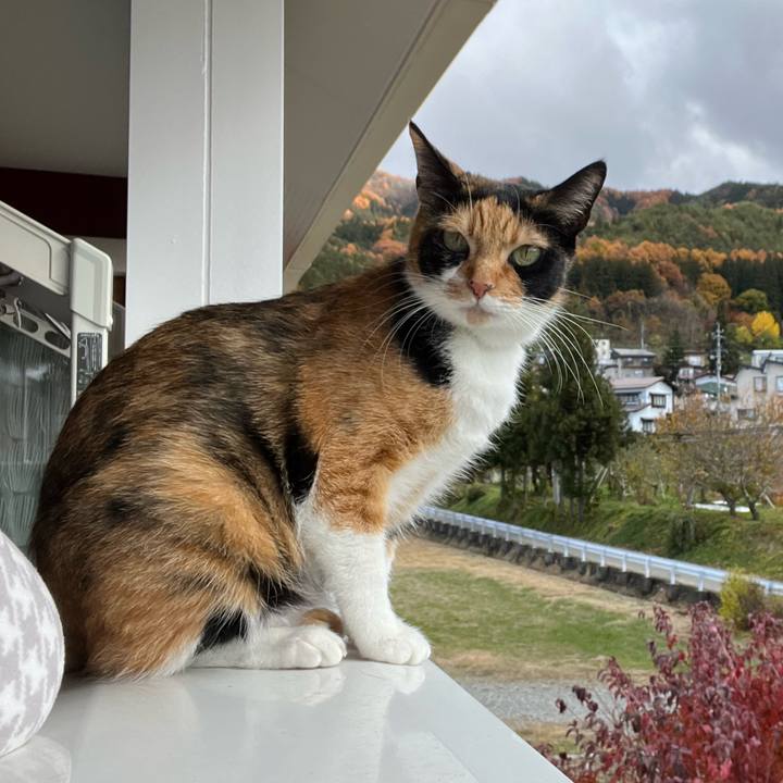 357a8992 a770 4047 8624 946a74bfe555 1668487327122