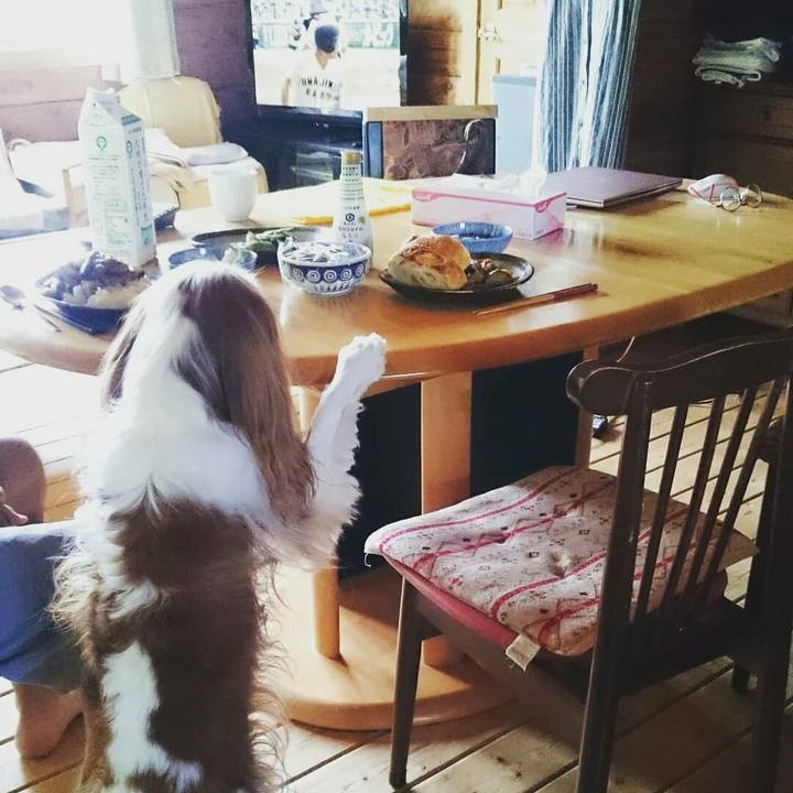 357a8bc6 88d4 4088 aa53 f459fdc602f4 1565574964436