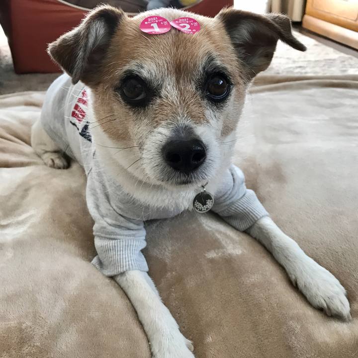 357acc8a 5032 47d9 aa0d e06e463a7bc0 1612324828095