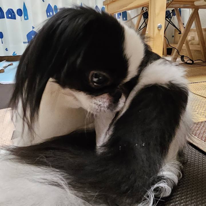 357ad564 68fc 4438 9a15 9441ec688d0a 1725792042915