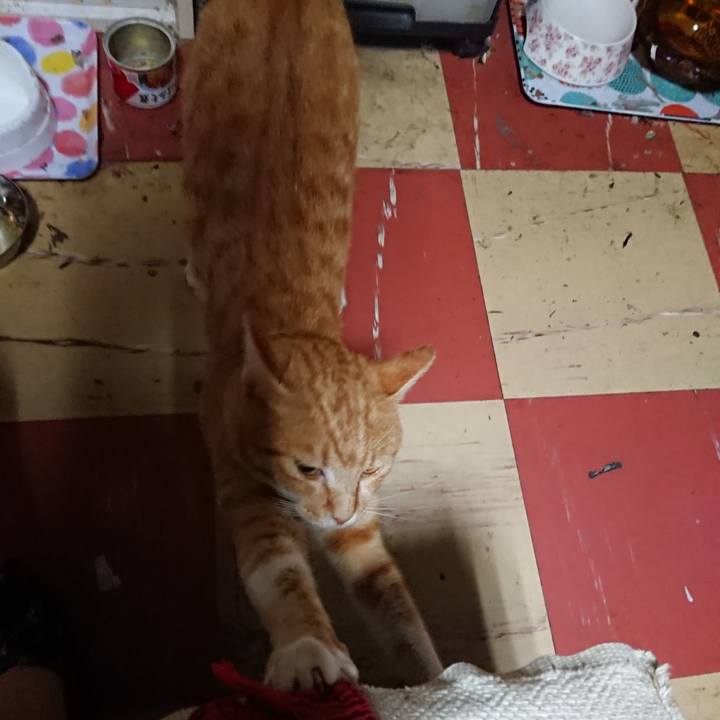 357ae1cf 96f0 4841 8264 5e3bc42b92a7 1564429775592