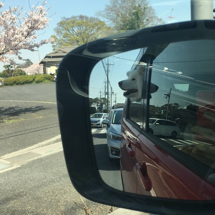 357af83d 4661 4148 90c3 265ee214b397 1522484299772