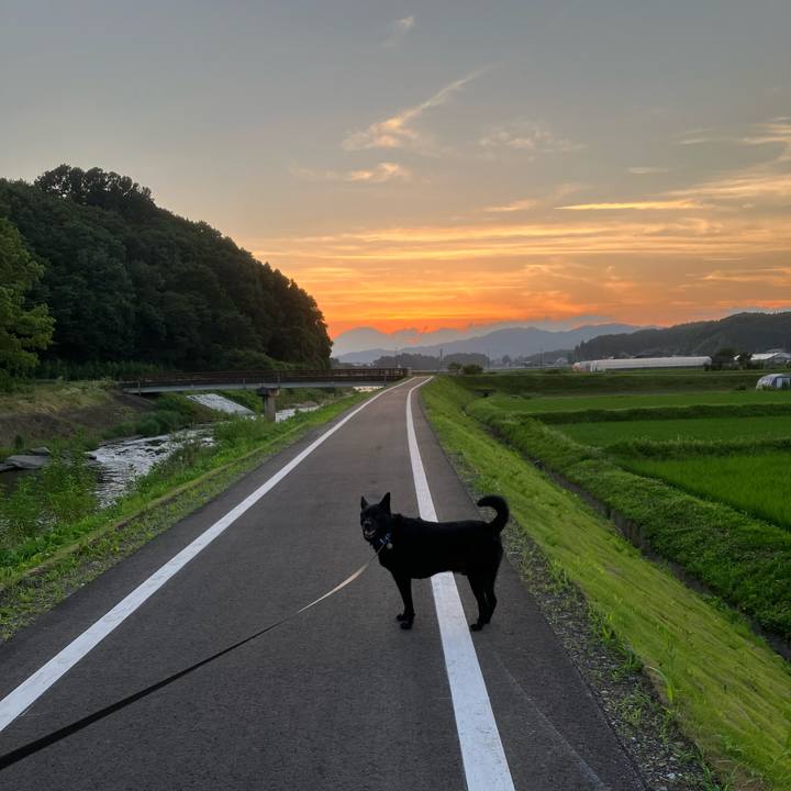 357b01e8 a2ed 4223 bb9f d931c883a1f4 1656245981583