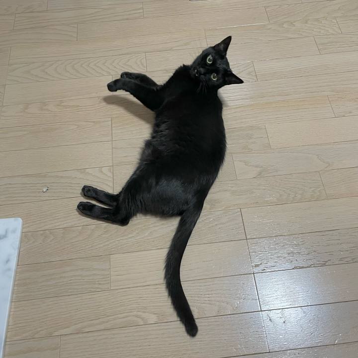 357b074f 50e9 45ee ad1e 28a0f28d77e0 1661514404687